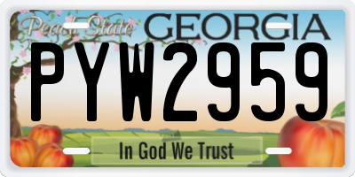 GA license plate PYW2959