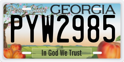 GA license plate PYW2985