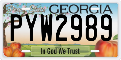 GA license plate PYW2989