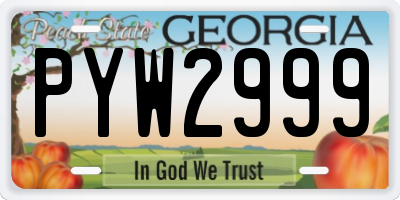 GA license plate PYW2999