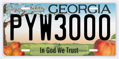 GA license plate PYW3000