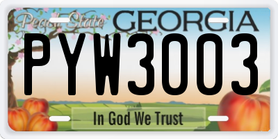 GA license plate PYW3003
