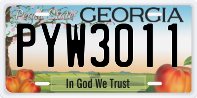 GA license plate PYW3011