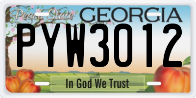 GA license plate PYW3012