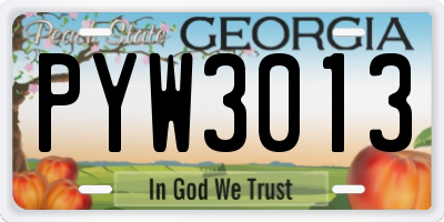 GA license plate PYW3013