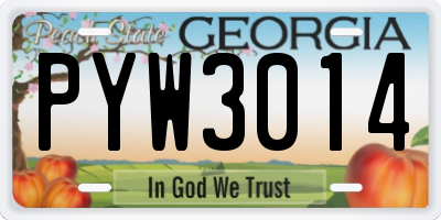 GA license plate PYW3014