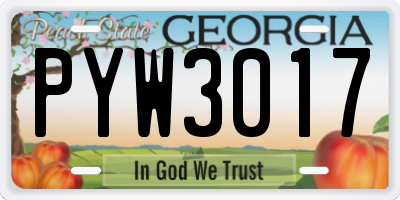 GA license plate PYW3017