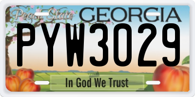 GA license plate PYW3029