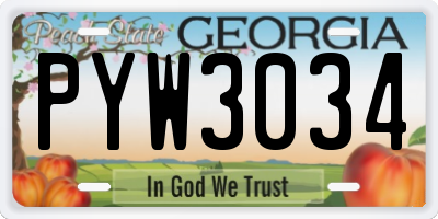 GA license plate PYW3034