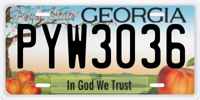 GA license plate PYW3036