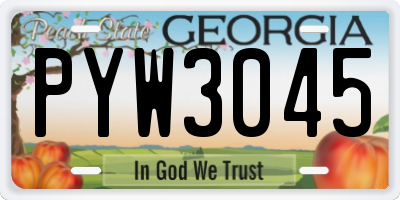 GA license plate PYW3045