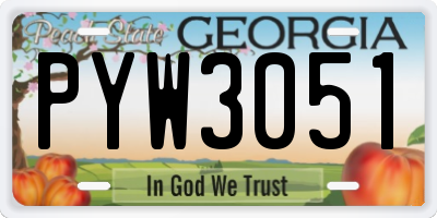 GA license plate PYW3051