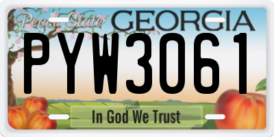 GA license plate PYW3061