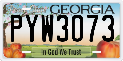GA license plate PYW3073