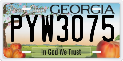 GA license plate PYW3075
