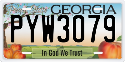 GA license plate PYW3079