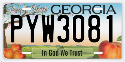 GA license plate PYW3081