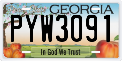 GA license plate PYW3091