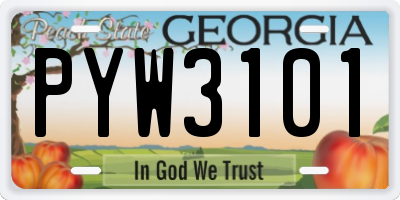GA license plate PYW3101