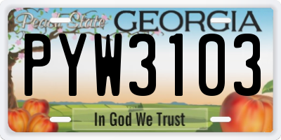GA license plate PYW3103