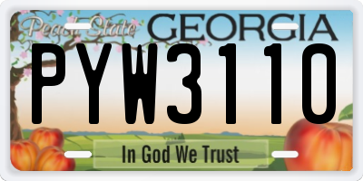 GA license plate PYW3110