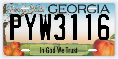 GA license plate PYW3116