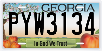 GA license plate PYW3134
