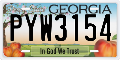 GA license plate PYW3154