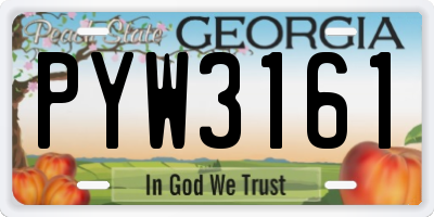 GA license plate PYW3161