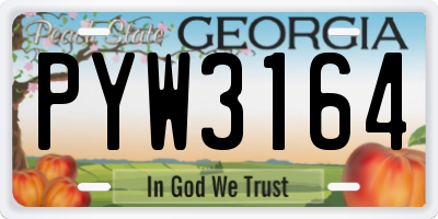 GA license plate PYW3164