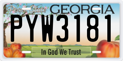 GA license plate PYW3181
