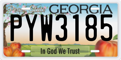 GA license plate PYW3185