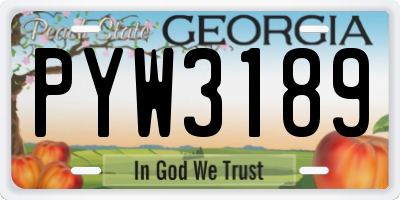 GA license plate PYW3189