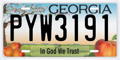 GA license plate PYW3191