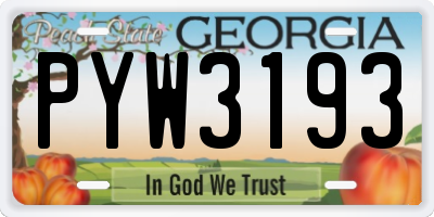 GA license plate PYW3193