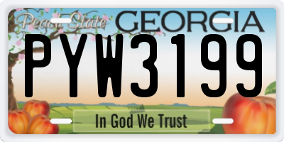 GA license plate PYW3199