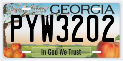 GA license plate PYW3202