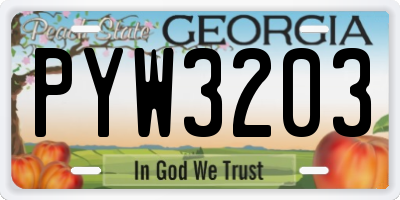 GA license plate PYW3203
