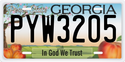 GA license plate PYW3205