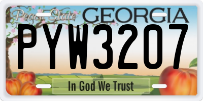 GA license plate PYW3207