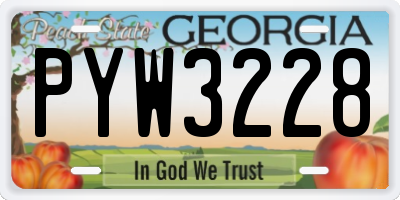 GA license plate PYW3228