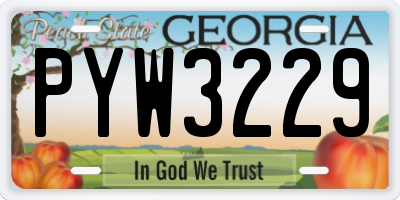 GA license plate PYW3229