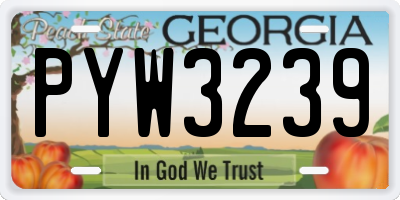 GA license plate PYW3239