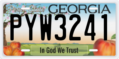 GA license plate PYW3241