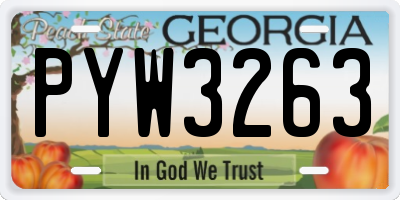 GA license plate PYW3263
