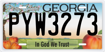 GA license plate PYW3273