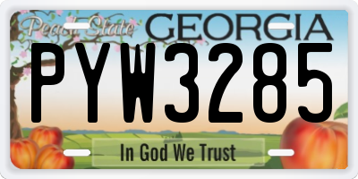 GA license plate PYW3285