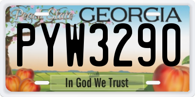 GA license plate PYW3290