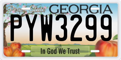 GA license plate PYW3299