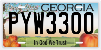 GA license plate PYW3300